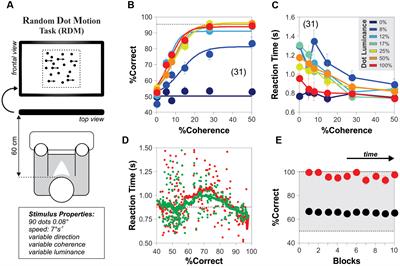 Noise Improves Visual Motion Discrimination via a Stochastic Resonance-Like Phenomenon